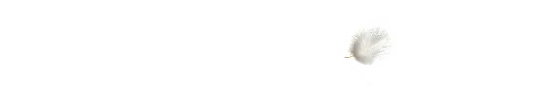 Zarte weiße Feder auf weißem Hintergrund – Symbol für Leichtigkeit und sanften Schlaf mit AURIPURA