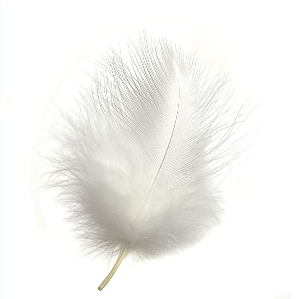 Leichte weiße Feder auf weißem Hintergrund – Symbol für Leichtigkeit, Sanftheit und harmonischen Schlaf mit AURIPURA